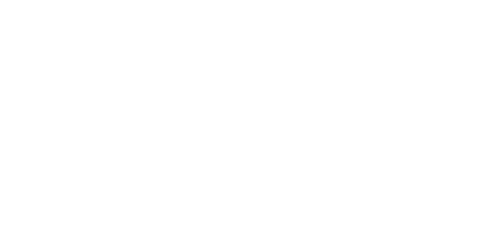 Logo Footer